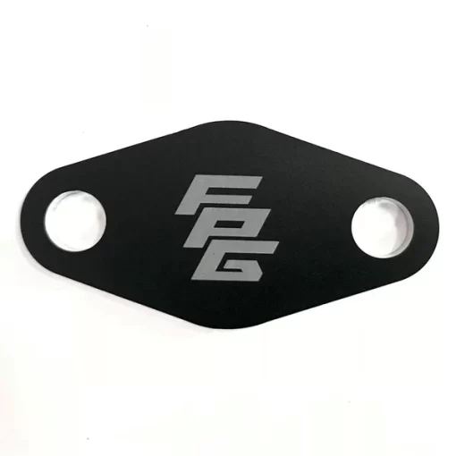 FPG blank plate 2 600x