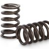 KelfordCams - TB48 Racing Valve Spring Set (KVS 04)